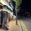 용화로+온화로 | [아산] 신용화동 대한곱창, 피맥하우스 내돈내산 후기