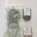 패러그린샵 명지점 이미지