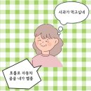 베르니케 이미지