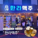 한라맥주 울산 달동 제주도 감성 가성비 좋은 술집 내돈내산