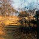 영통 도서관 삼거리 이미지