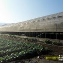 진환농장 이미지