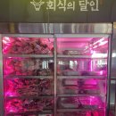 달인 | 장안동 고기집 추천, 24시간 소고기·돼지고기 무한리필 회식의달인 솔직 후기