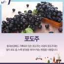 전통과일 이미지
