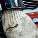 프로브모터스 | 대구 산격동 카센터 프로브모터스 오토미션오일교환 후기