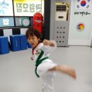 남부태권도장 이미지