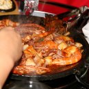 독도쭈꾸미 이미지