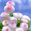 온달관광지 이미지