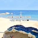 코코의정원 이미지