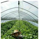 김동주농장 이미지