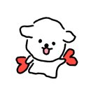 천안세차장백세