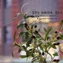 모힝 이미지