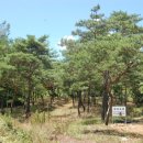 공서농장 이미지