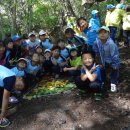 매화초교-1구간 이미지