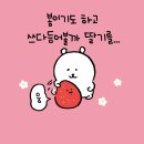 달고나딸기