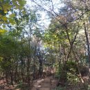 동작충효길 2코스 현충원길 | 서울 둘레길 동작충효길2코스 현충원길을 걷고, 서달산 달마사에 갔어요.