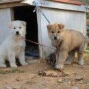 오류내낚시터 이미지