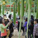 가을의 온새미로 이미지