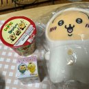 밀린 블로그쓰기