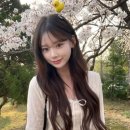 청사헤어