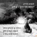 무지개광고 이미지