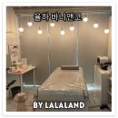 바니앤코 이미지