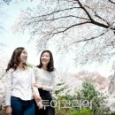 호텔소풍 이미지