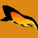 고래PC게임 이미지