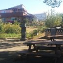 느티나무펜션민박 이미지