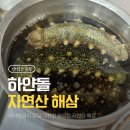 통영에반하다 | 하얀돌 통영 자연산 해삼: 해녀가 당일 채취한 활 해삼, 오독오독 식감과 내장 풍미에 반하다!