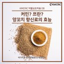 커민양꼬치