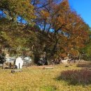 외씨버선길(장계향디미방길) 이미지