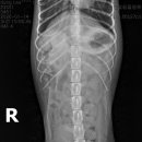 박물관옆동물병원 이미지