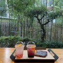 하츠(HAZ) 이미지