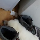 해피럭키