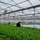 맘꽃가든 이미지