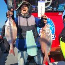 마린스타 이미지