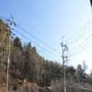 케니상사 전공비 이미지