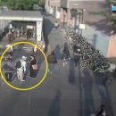 문화세탁 이미지