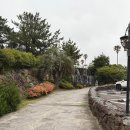 제주도 애월 숙소 리조트 스탠포드 호텔 제주 디럭스트윈 오션뷰 내돈내산 솔직후기