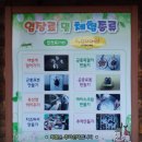 원주곤충마을박물관 이미지