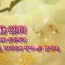 봄을 기다리는 마음/신석정 이미지