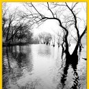 로하스 해피로드 이미지