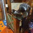 산속비버스 이미지