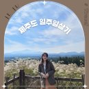 신화카에어컨 | 제주도 일주일살기 숙소 애견동반 독채 비용 여행코스 총정리