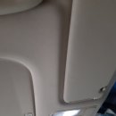 안성 올뉴카니발 실내크리닝 (feat.양성 대이산숲속캠프 그리고 고양이...??)