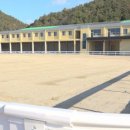 순창군승마장 전북도민일보