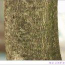 디지털벨리로 이미지