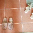 노블펜션 이미지