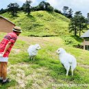 알프스랜드 이미지